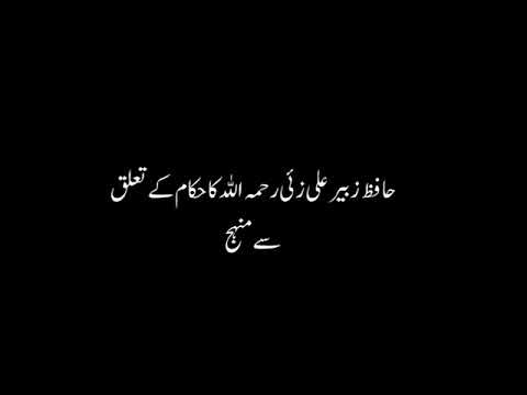 Zubair Ali Zai's attack on Muslim rulers